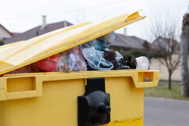 South Brooksville, FL Junk Removal Company